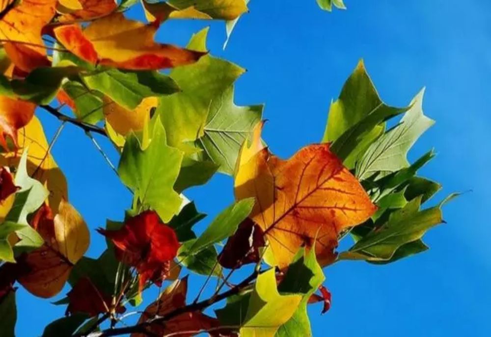 Vremea 20 septembrie - Ploi locale și temperaturi de 30 de grade