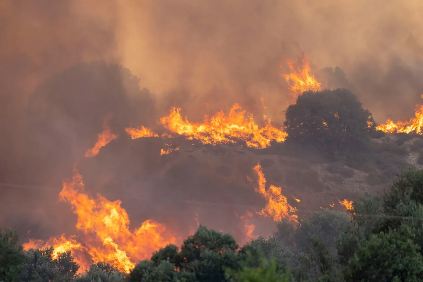 MAE, atenționare de călătorie pentru români. Stare de urgență în Serbia din cauza incendiilor de vegetație