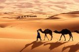 Tragedie în Sahara: zeci de persoane au murit după ce au rămas blocate în deșert fără apă și hrană