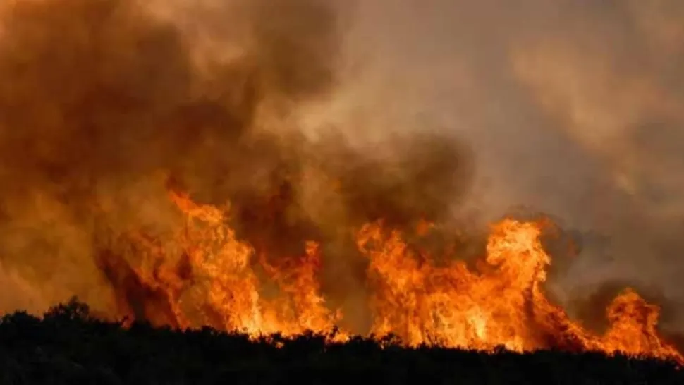 Incendii de vegetație în Italia