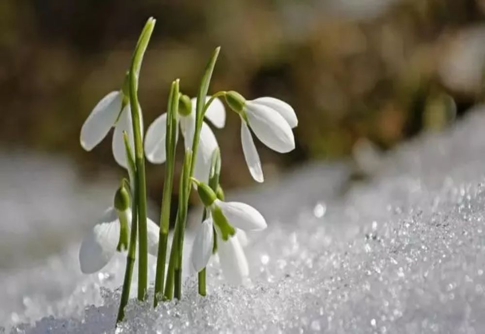 Vremea 31 ianuarie. Cod galben de fenomene periculoase. Zonele unde temperaturile cresc brusc