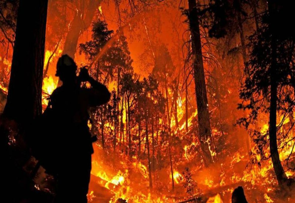 BILANȚUL DECESELOR DIN INCENDIILE DIN LOS ANGELES CONTINUĂ SĂ CREASCĂ