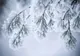 Prognoza meteo - Cum va fi vremea in ianuarie